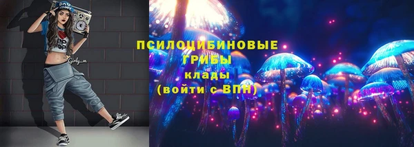 ешки Алексин