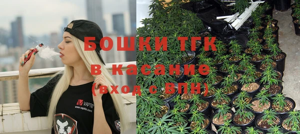 гидропоника Алзамай