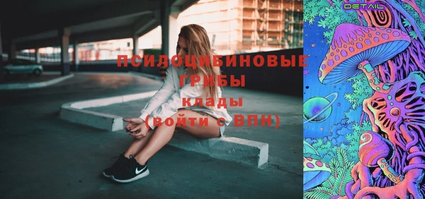 дмт Алексеевка