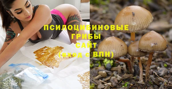 ешки Алексин