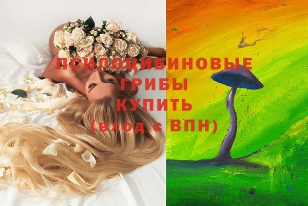 дмт Алексеевка
