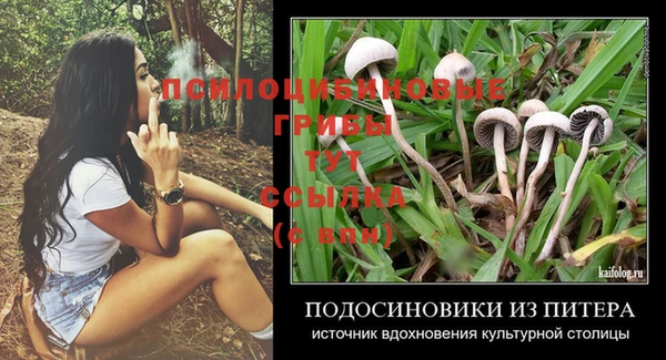 гидропоника Алзамай